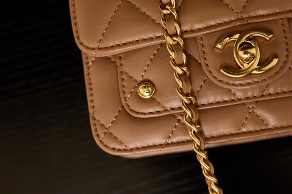 2026131222332309 620